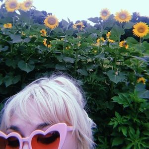 Meet your Posher, Harrison